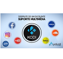 Audisat R4 Flix
